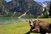 21 Lago di Braies